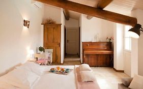 Provence Dodo